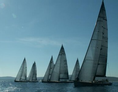 Miniatura: Protesty odrzucone. Regaty Sydney-Hobart...