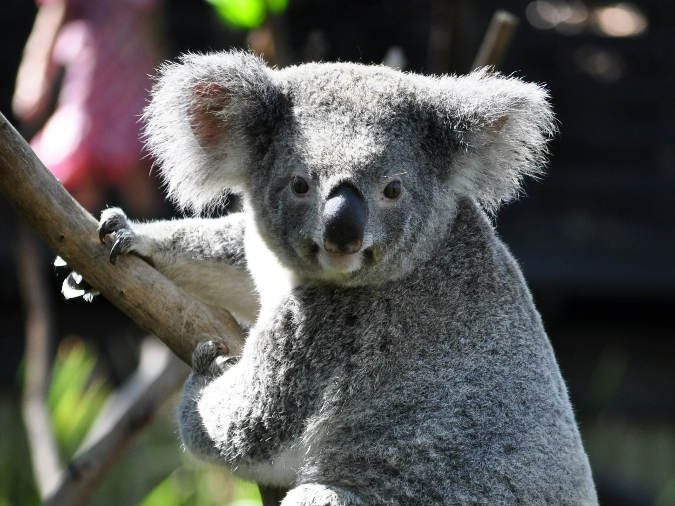 Fakt czy mit? 7/10 osób nie zdobywa kompletu punktów
