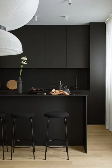 Mieszkanie z czarną kuchnią, proj. Studio Ony-X 