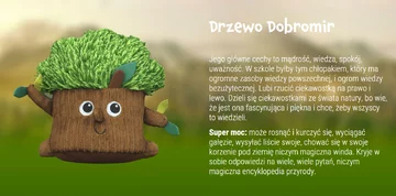 Drzewo Dobromir 