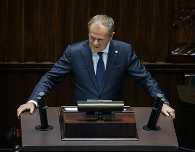 Miniatura: Tusk grzmiał z sejmowej mównicy. Wskazał...