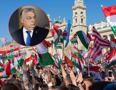 Miniatura: To może być koniec Viktora Orbana. Ten...