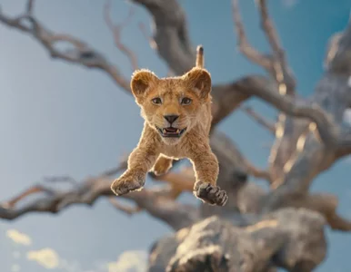 Miniatura: Coś dla całej rodziny. Na Disney+ trafił...