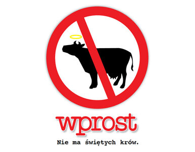 Miniatura: Nie ma świętych krów. Rusza kampania "Wprost"
