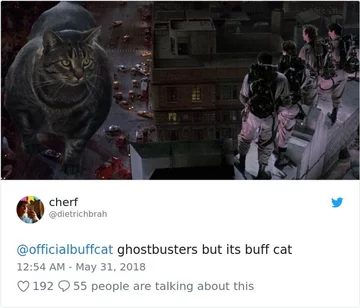 Buff cat i "Ghost busters" 