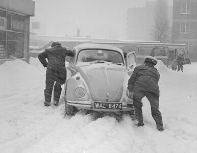 Miniatura: Wymagający QUIZ z przysłów o zimie....