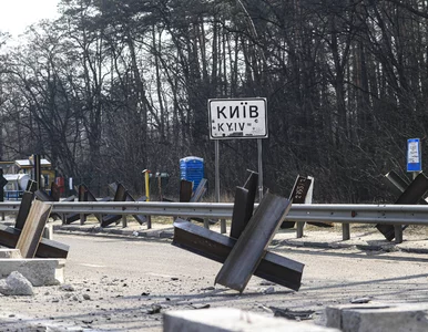 Miniatura: Ukraińcy przeprowadzają skuteczne akcje...