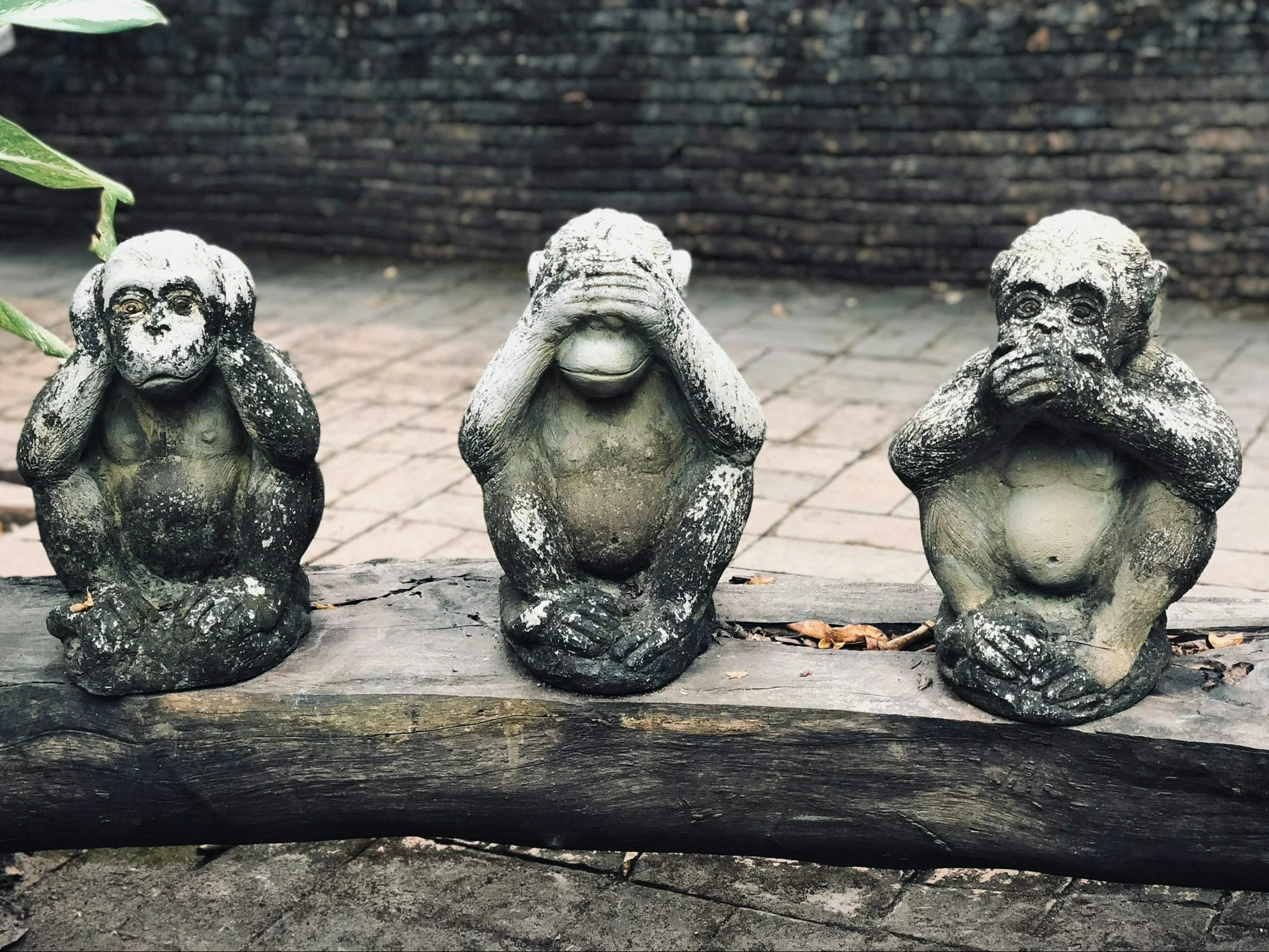 QUIZ. Dokończ polskie przysłowie!