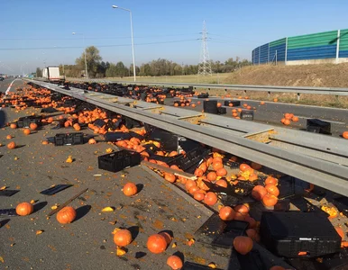Miniatura: Wstęp do Halloween na autostradzie A2? Ten...