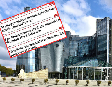 Miniatura: TVP Info pod lupą. Rada Etyki Mediów...