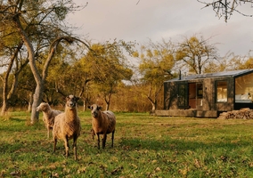 Drewniany domek modułowy, wprost stworzony na&nbsp;długi weekend