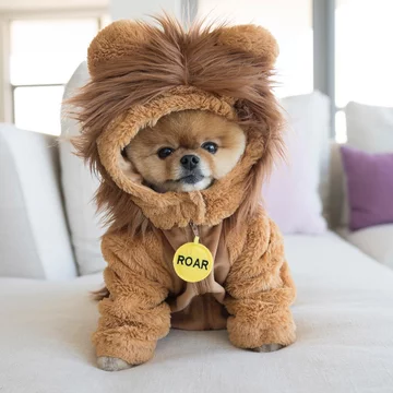 Jiffpom 