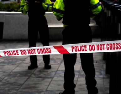 Miniatura: 9-latka zamordowana. 15-latek z zarzutem...