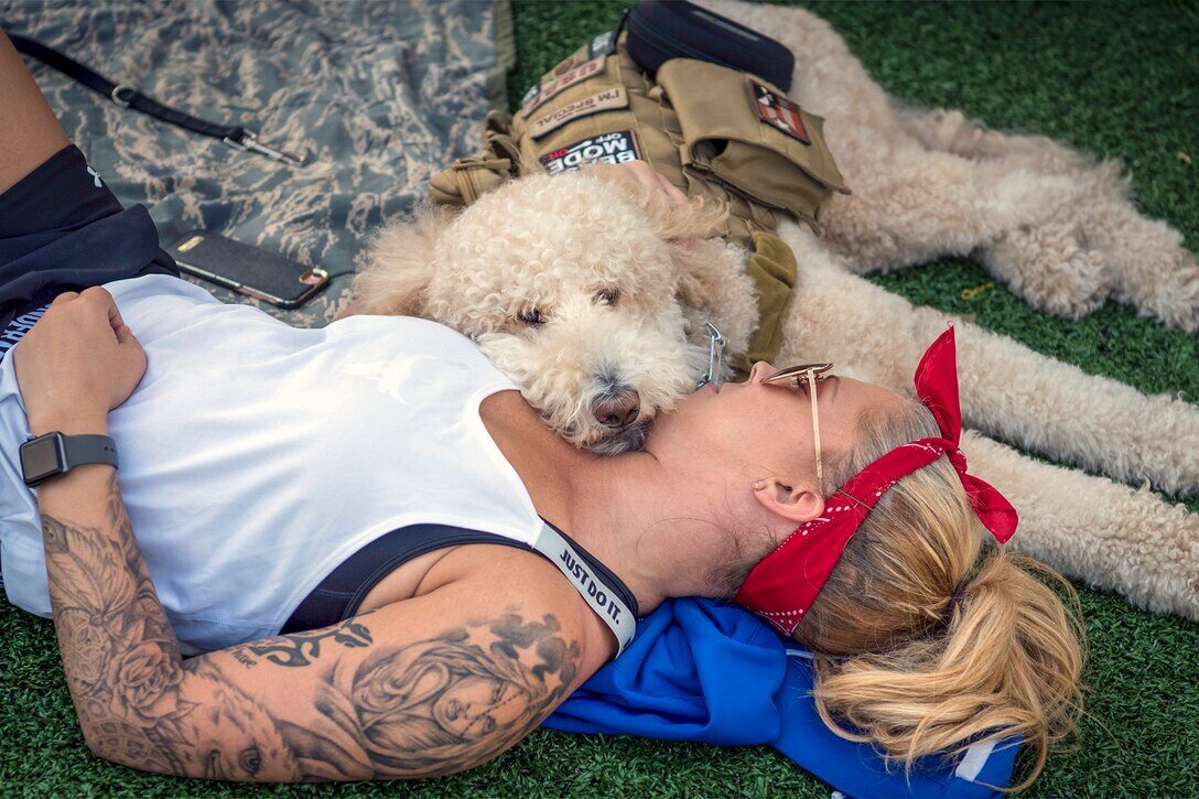 Psy w amerykańskiej armii 