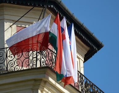 Miniatura: Czechy nie dadzą się skłócić z Polską....