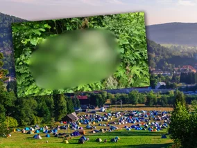 Miniatura: Nikt nie pomyślałby, że jest trująca....