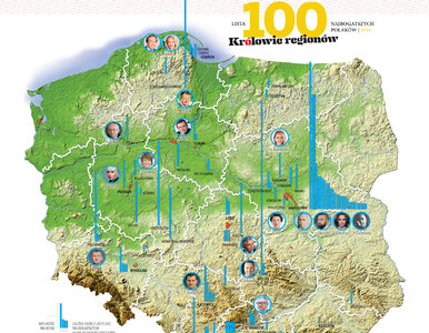 Miniatura: Mapa polskiego bogactwa