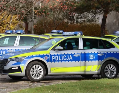 Miniatura: Nowe informacje ws. zabójstw w...