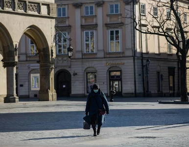 Miniatura: 494 naruszenia kwarantanny. Polska policja...
