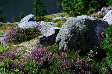 natura, podr&oacute;ż, na&nbsp;dworze