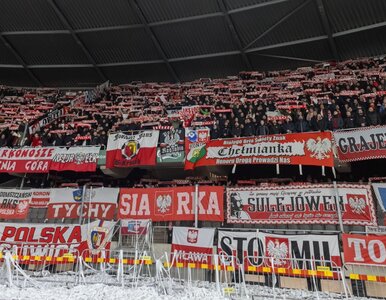 Miniatura: Szaleństwo ws. biletów na Szwecja –...