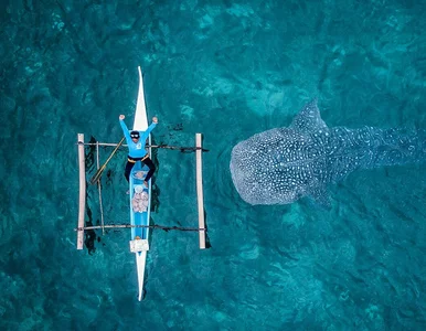 Miniatura: Zachwycające zdjęcia fotografa z Bułgarii....