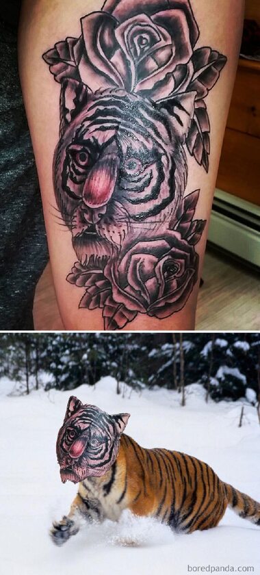 Tatuaże nałożone na rzeczywiste osoby i zwierzęta 