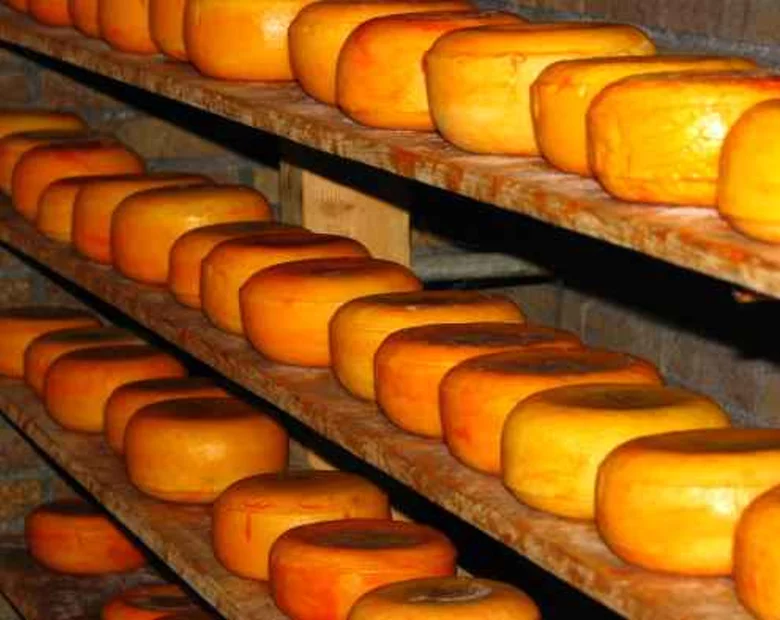 Miniatura: Pracownik magazynu kradł... ser. Ukradł...