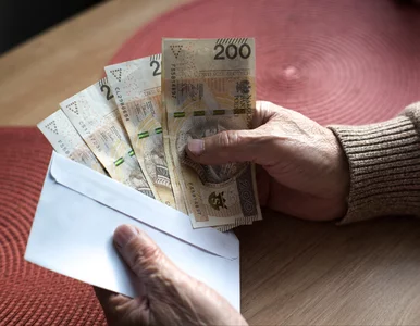 Miniatura: Rodzice przelali 200 tys. zł prosto do...