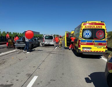 Miniatura: Karambol na A4. Paraliż na drodze