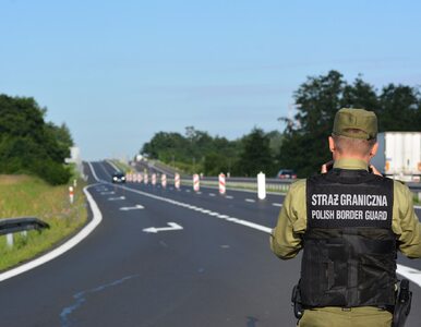 Miniatura: Polska przywraca kontrole na granicach....