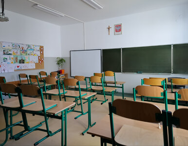 Miniatura: Wypłaty już latem! Sprawdź, ile możesz...