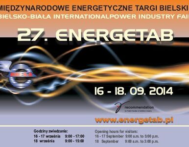 Miniatura: Targi dla energetyki