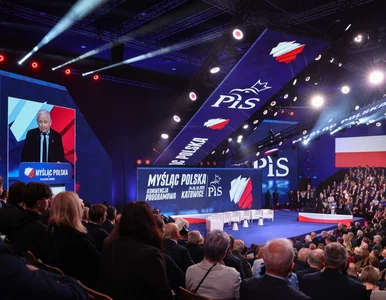 Miniatura: Kaczyński się wściekł. Tak w PiS...