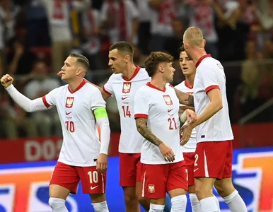 Miniatura: Polacy pokazali wielką skuteczność....