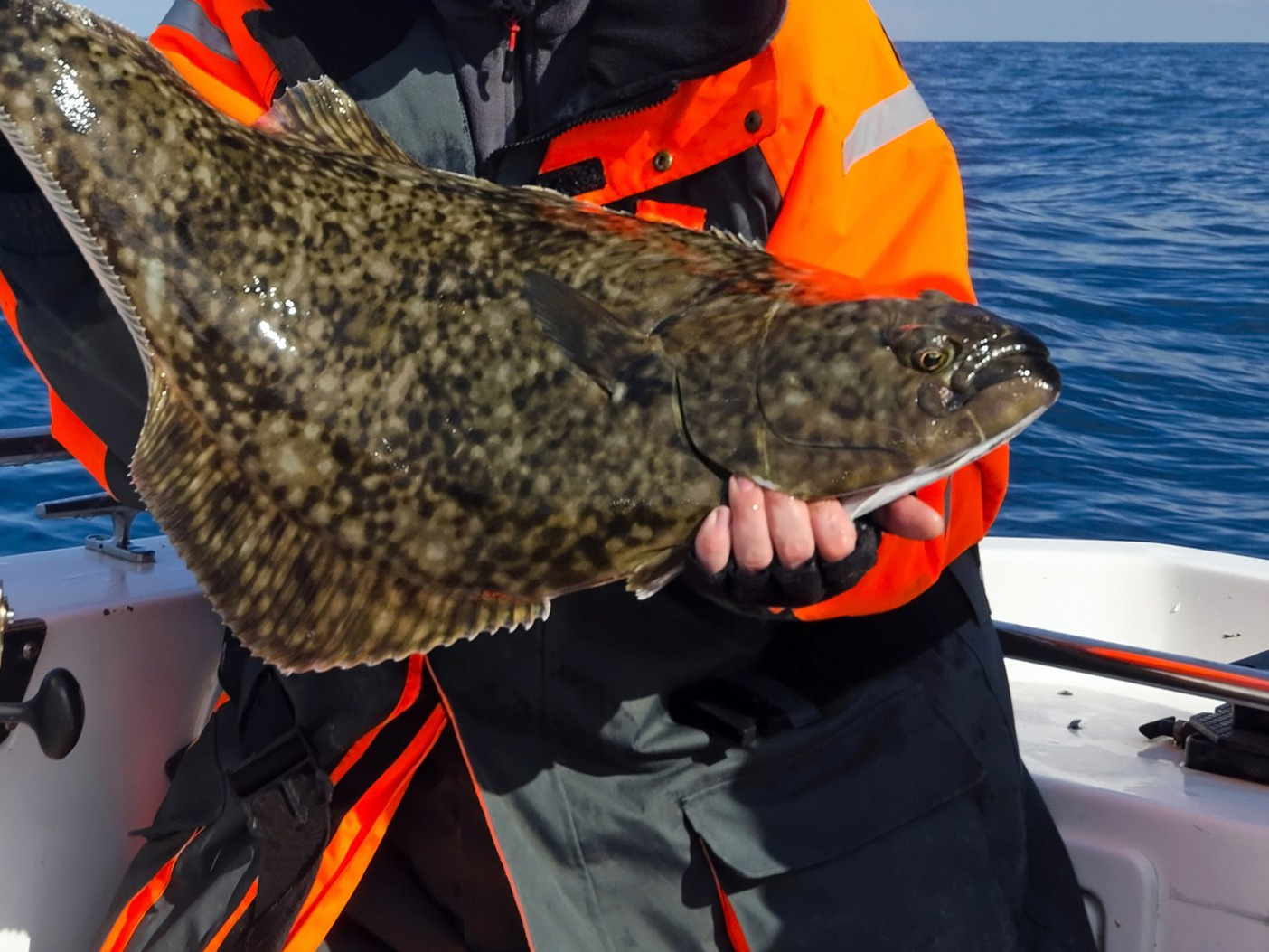 13-letni wędkarz złowił ogromnego halibuta. Padł nowy rekord świata?