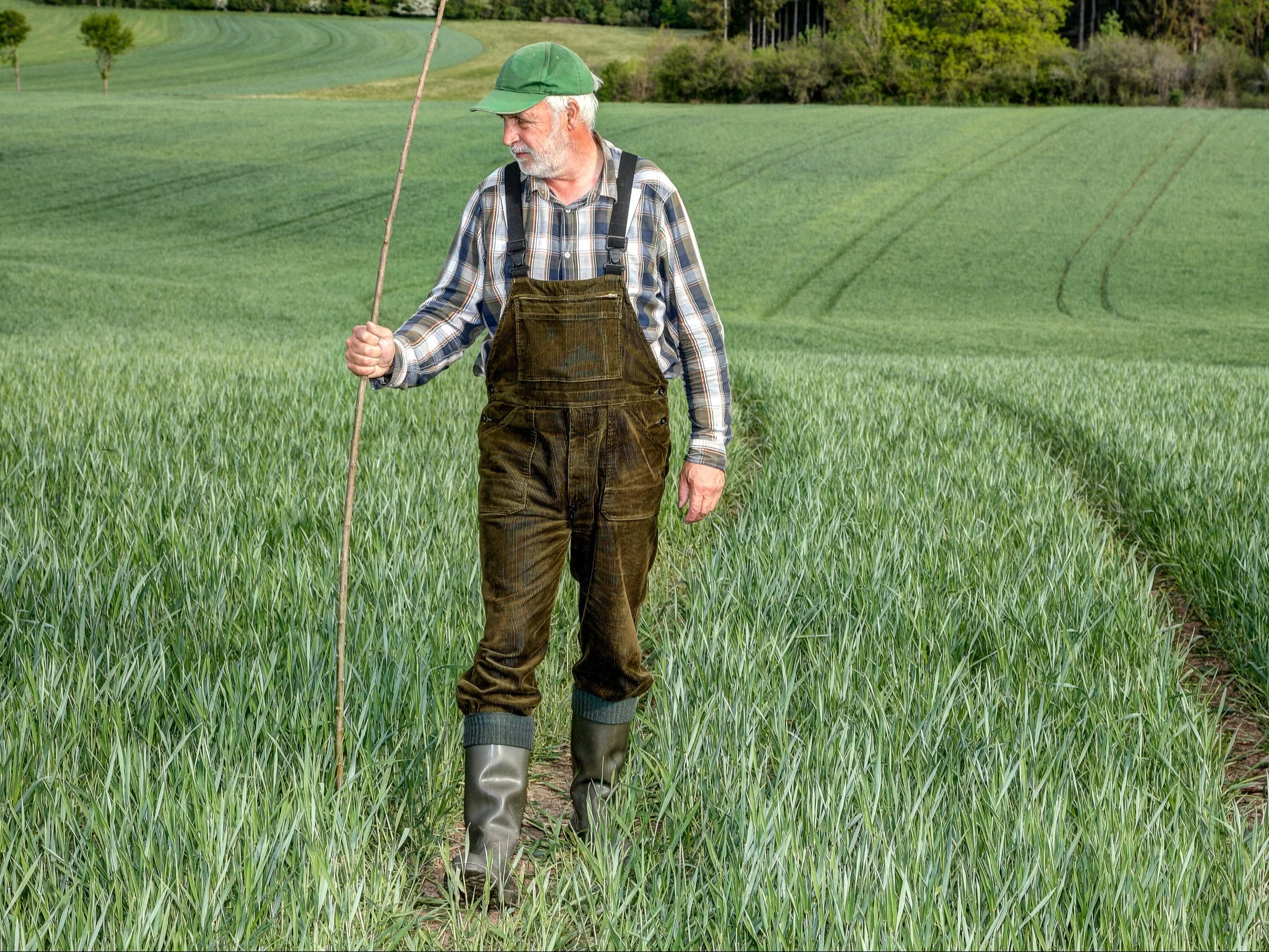 KRUS podał harmonogram wypłat „czternastek” dla rolników