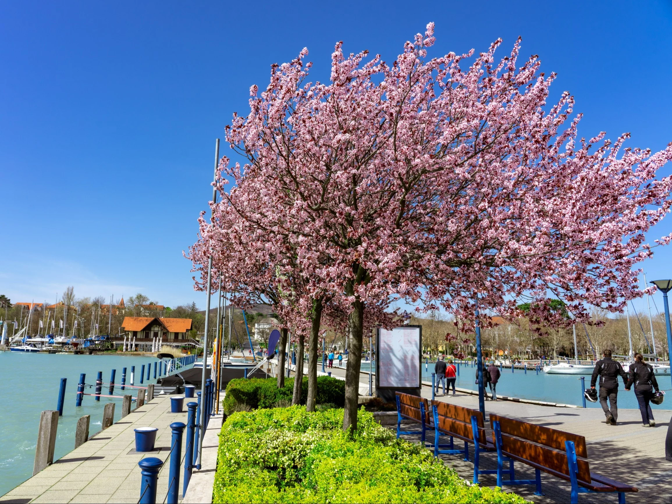 Kraj w sercu Europy pobił turystyczny rekord. Polacy na podium