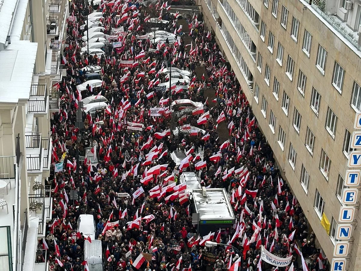 Protest Wolnych Polaków