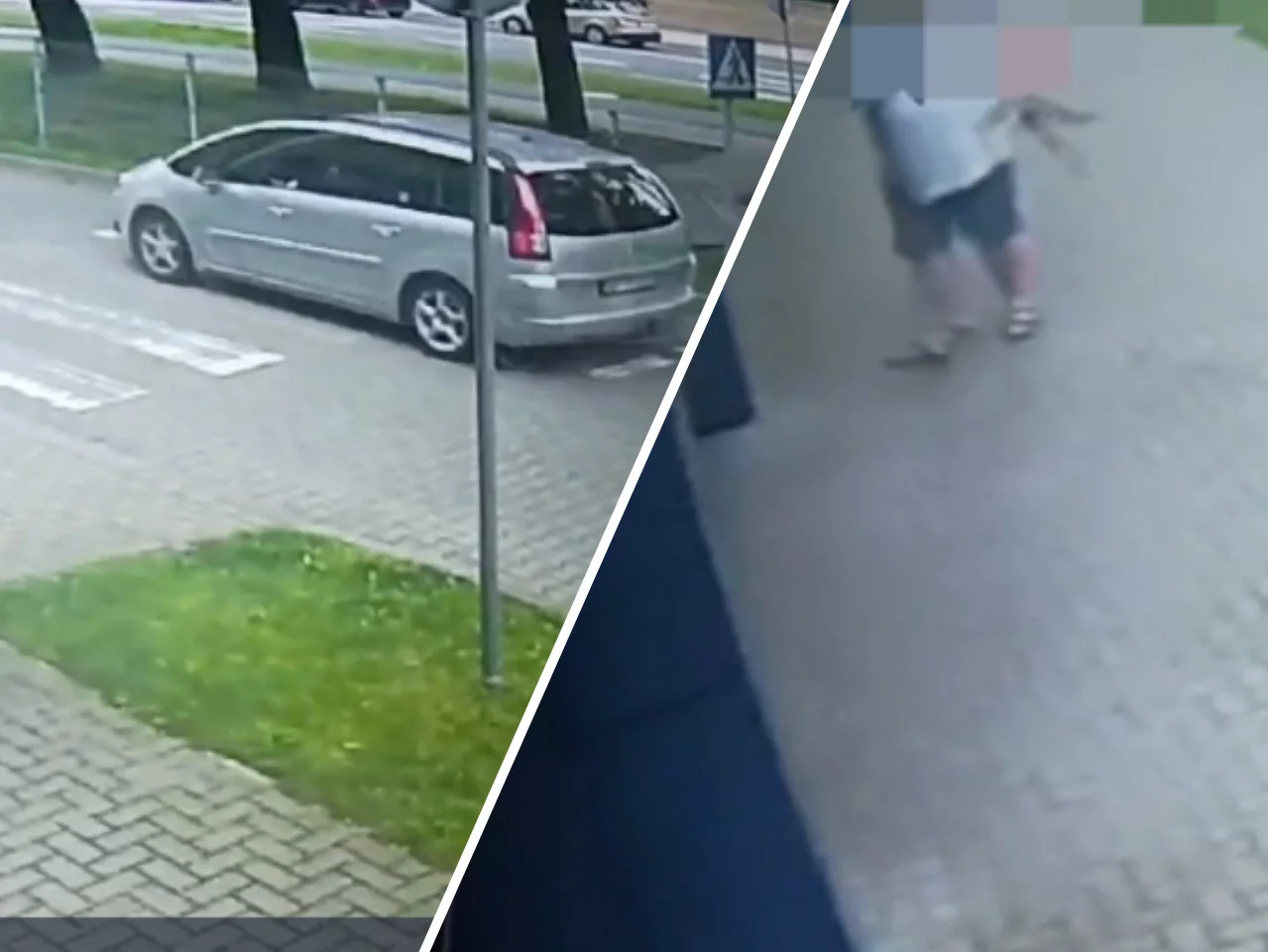 Materiały wideo z kamer monitoringu