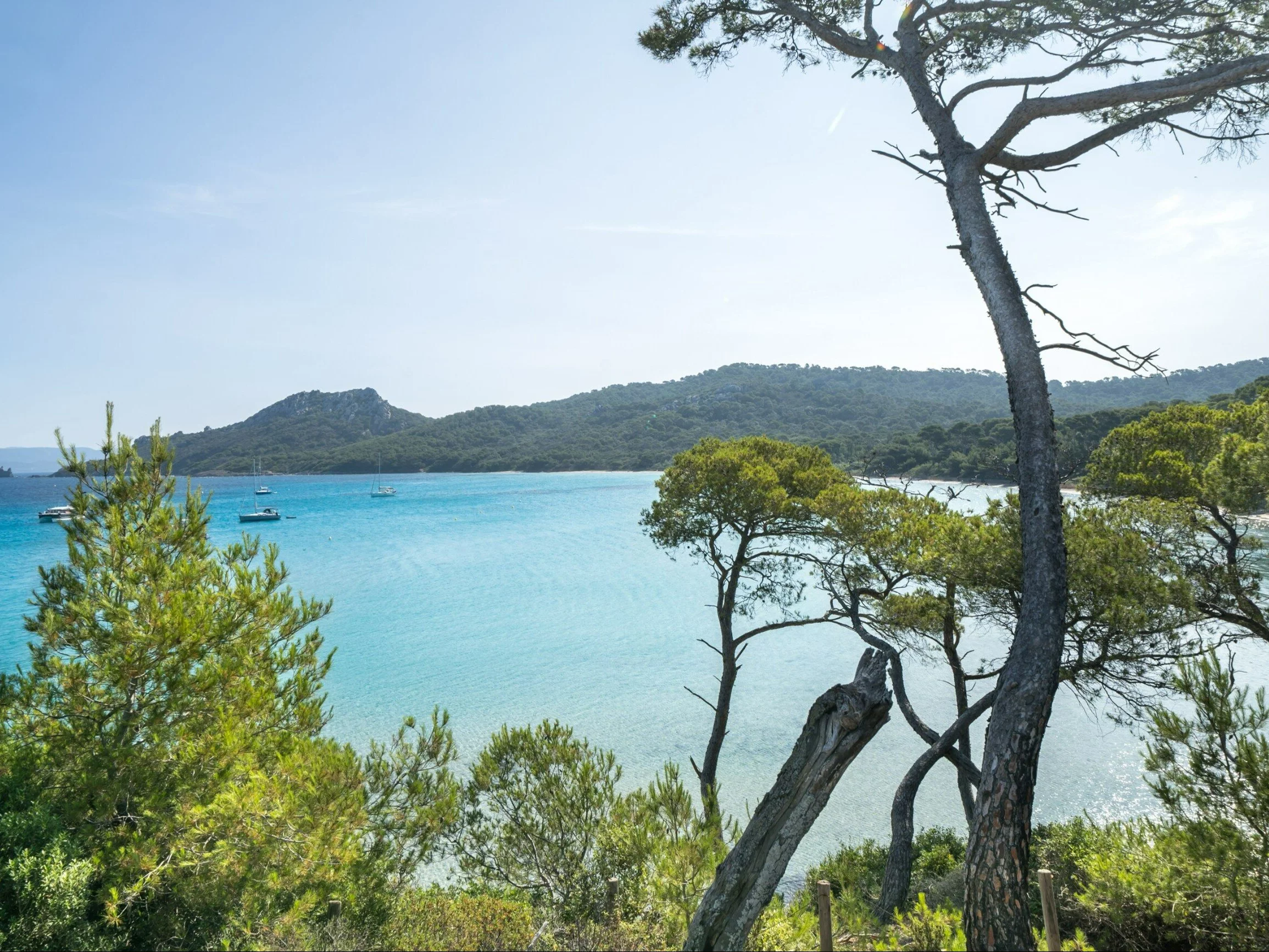 Wyspa Porquerolles we Francji