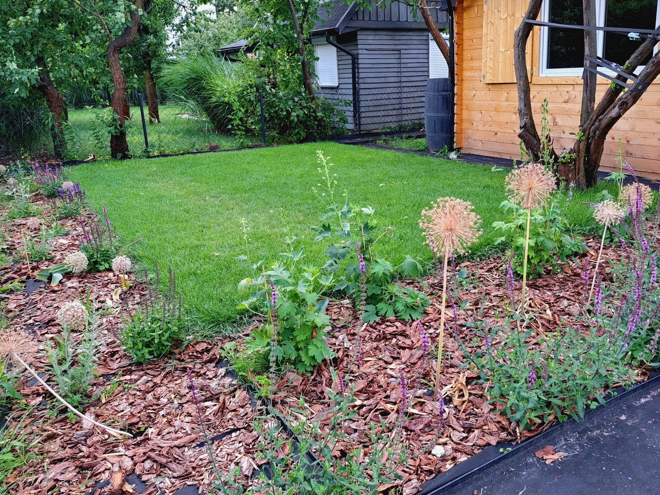 Ściółkowanie gleby na działce