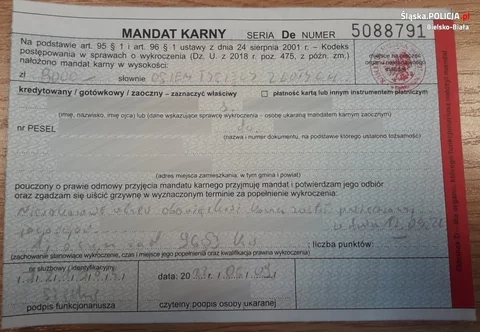Mandat dla kierowcy Porsche