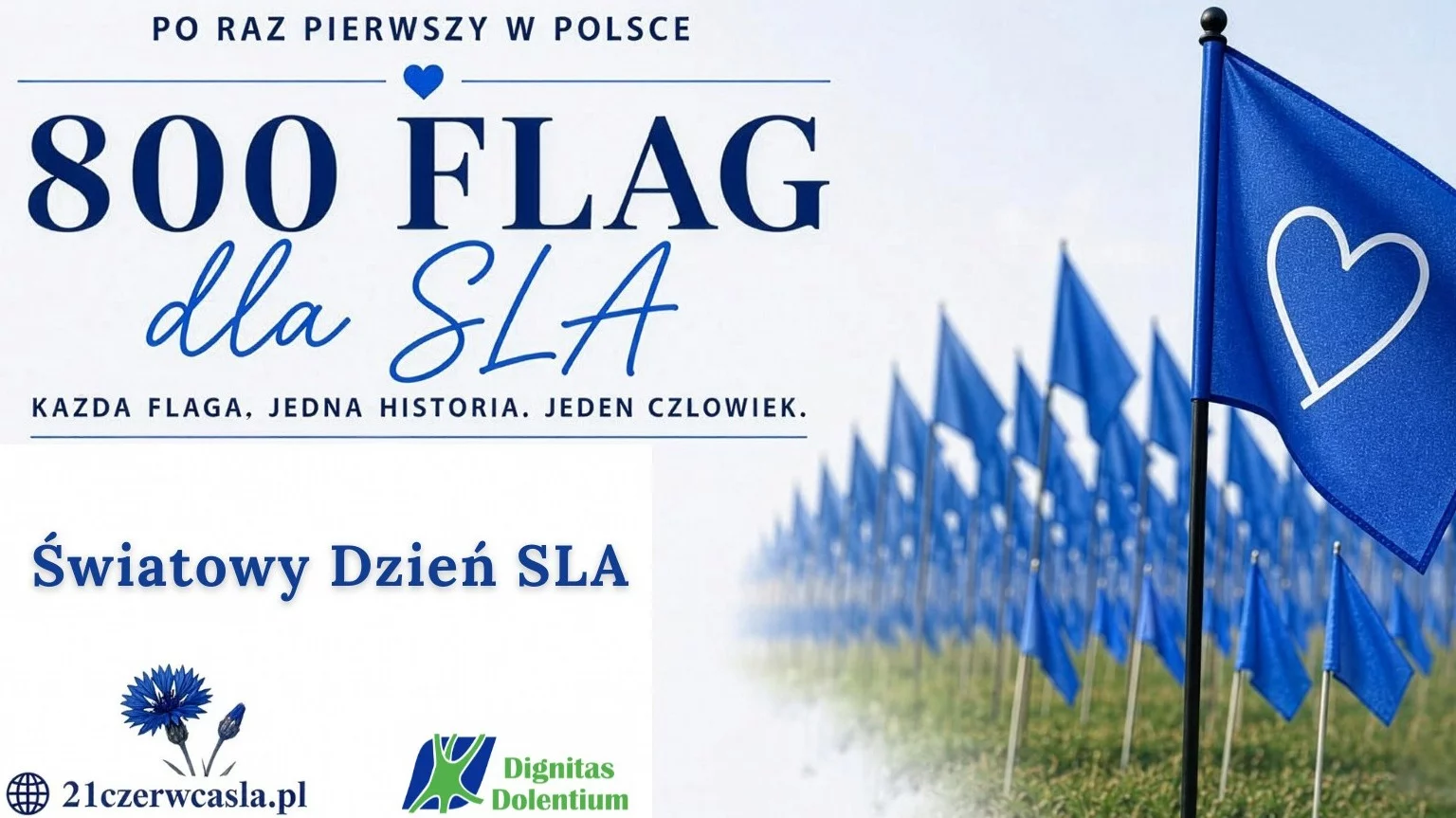 Na poznańskiej Cytadeli pojawi się 800 błękitnych flag