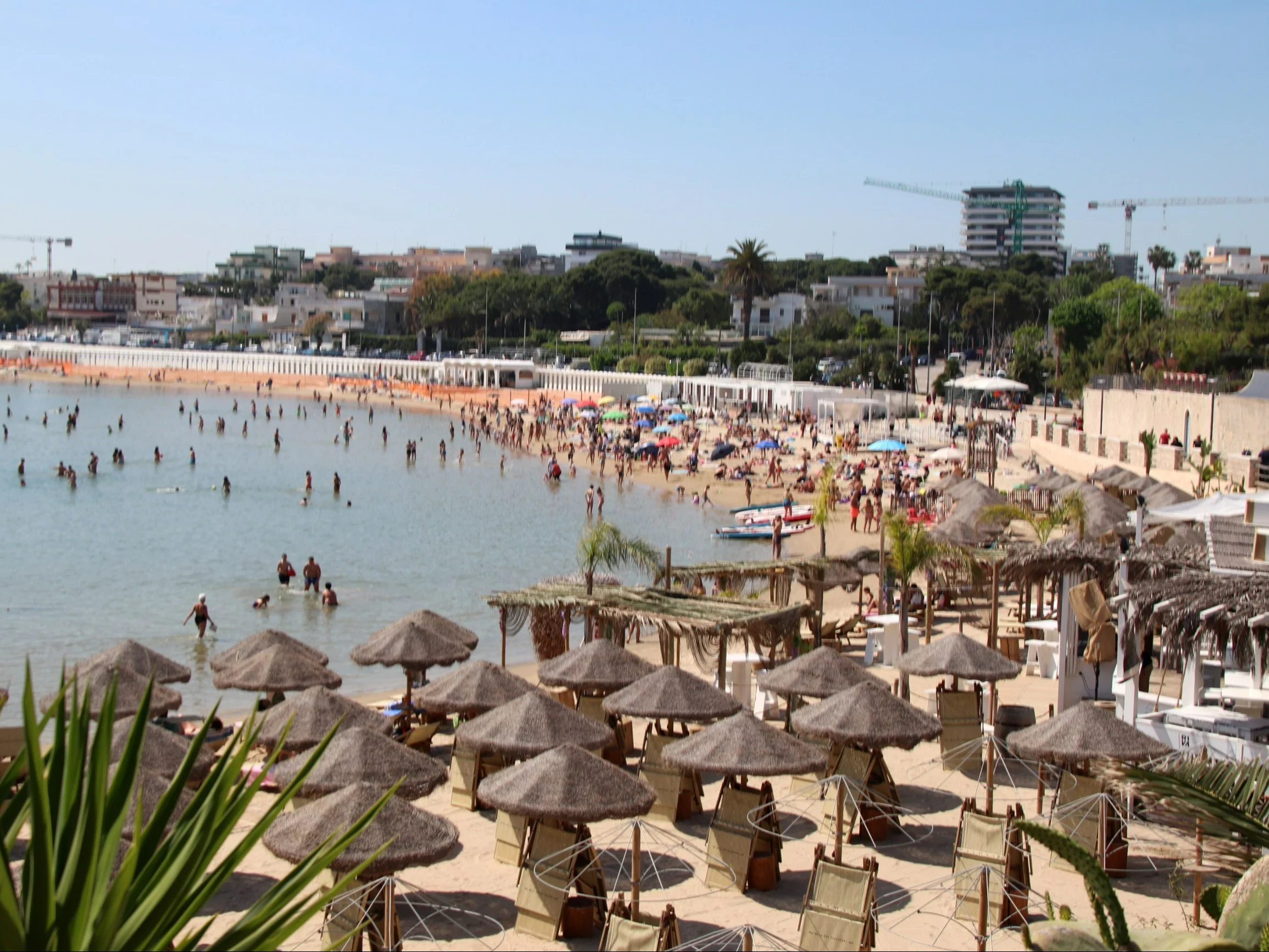 Plaża Colonna w prowincja Barletta