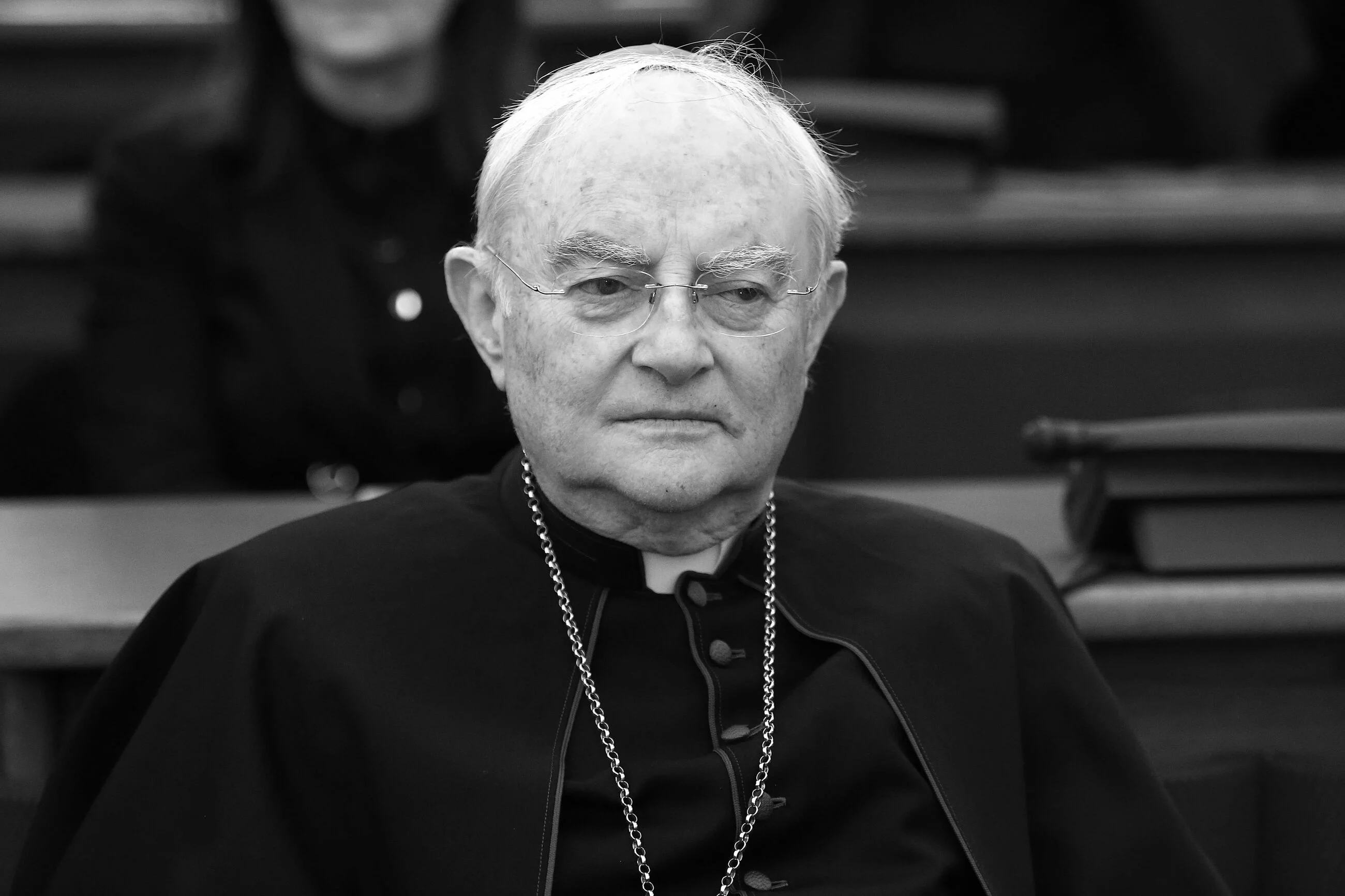 Abp Henryk Hoser