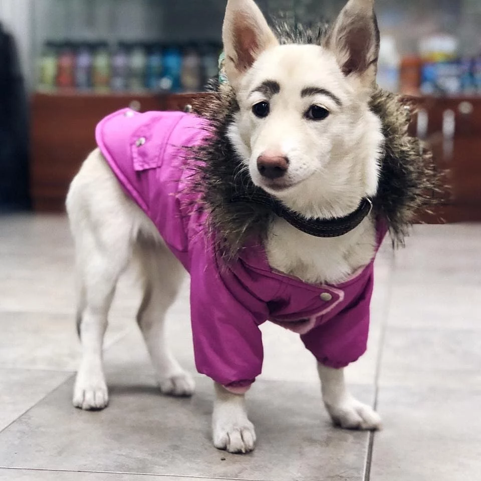 Suczka Betty