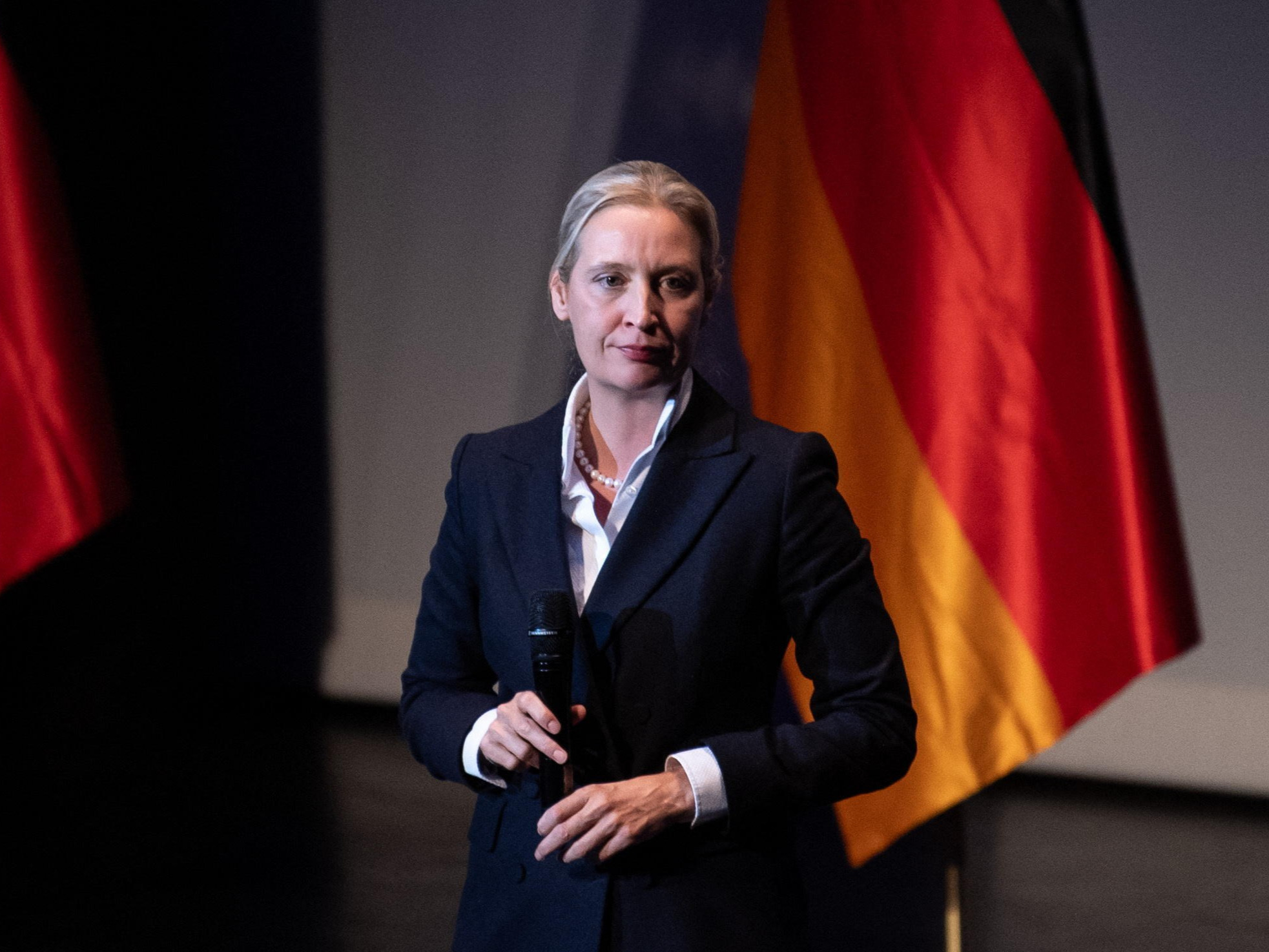 AfD już puszczają hamulce. Przedstawili plan zmian dla UE
