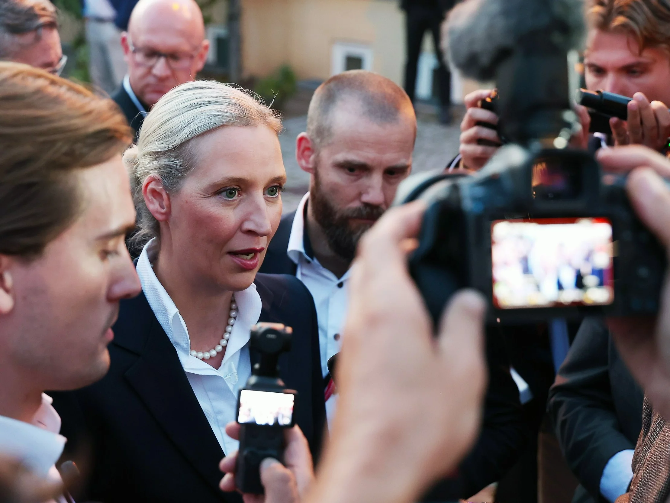 Alice Weidel