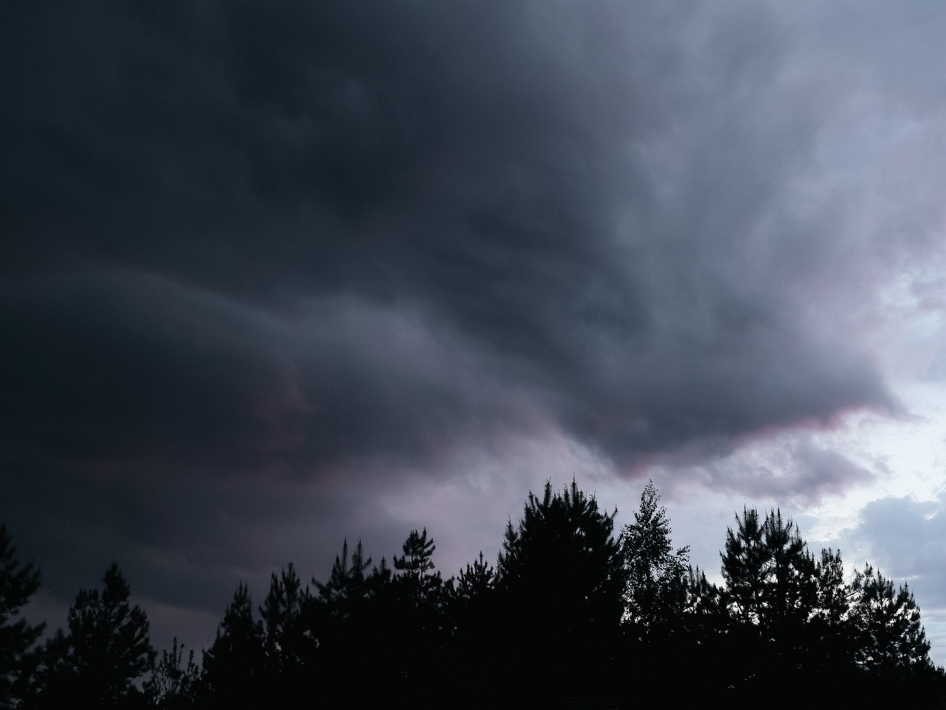 Tego ostrzeżenia lepiej nie bagatelizować. RCB: Nie przebywaj pod drzewami